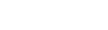 True Motion Wortmarke_v2